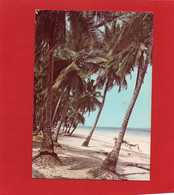 KENYA----KENYA COAST---voir 2 Scans - Kenya