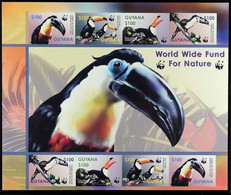 2003 IMPERF PROOF MINIATURE SHEET Endangered Species "Toucan" Miniature Sheet Of Two Sets As SG MS6410, IMPERF PROOF SHE - Guyana (1966-...)