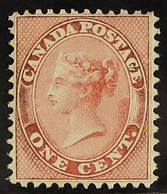 1859 1c Rose, SG 29 Or Unitrade 14, Fine Never Hinged Mint. For More Images, Please Visit Http://www.sandafayre.com/item - Altri & Non Classificati