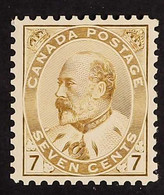 1903-12 7c Yellow-olive, SG 180 Or Unitrade 92ii, Very Fine Never Hinged Mint. For More Images, Please Visit Http://www. - Altri & Non Classificati