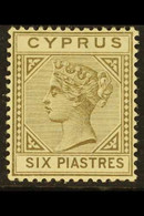 1892-94 6pi Olive-grey Die II, SG 36, Fine Mint, Lovely Fresh Colour. For More Images, Please Visit Http://www.sandafayr - Other & Unclassified