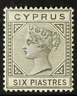 1892-94 6pi Olive-grey Die II, SG 36, Fine Fresh Mint. For More Images, Please Visit Http://www.sandafayre.com/itemdetai - Other & Unclassified