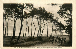 Noirmoutier * Allée De Pins Au Bord De La Plage St Pierre * Promeneurs - Noirmoutier