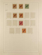 GERMAN POST OFFICES IN CHINA 1898-1919 FINE MINT COLLECTION Presented In Mounts On Pages With A Specialized Selection Of - Altri & Non Classificati