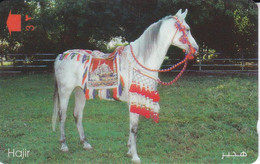 TARJETA DE OMAN DE UN CABALLO (CABALLO-HORSE) - Chevaux