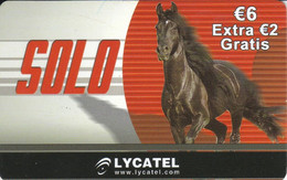 TARJETA DE ESPAÑA DE UN CABALLO (CABALLO-HORSE) - Horses