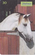 TARJETA DE BRASIL DE UN CABALLO ANDALUZ  (CABALLO-HORSE) - Chevaux