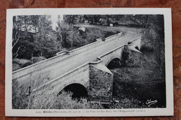 BLESLE (43) - LE PONT DU BAS-BORY SUR L'ALLAGNON - Blesle