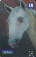 TARJETA DE BRASIL DE UN CABALLO   (CABALLO-HORSE) - Paarden