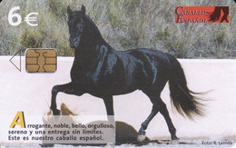 CP-279 TARJETA CABALLO ESPAÑOL DE TIRADA 251000 - Pferde