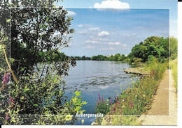 Carte Postale D'Aubergenville Berges De Seine Editions Alain Baudry - Aubergenville