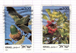 IL+ Israel 1981 Mi 868-69 Blumen - Oblitérés (sans Tabs)