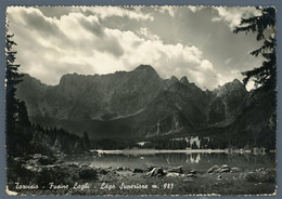 °°° Cartolina - Tarvisio Fusine Laghi Lago Superiore Viaggiata ( L ) °°° - Udine