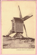 STANDAARD MOLEN TE KASTERLEE-DORP - Kasterlee