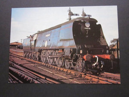 1981 DUNDEE AND NEWTYLE RAILWAY CO. 150th ANNIVERSARY LOCOMOTIVE POSTCARD. ( 02324 ) - Angus