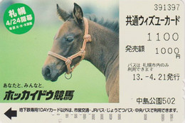 Carte Prépayée JAPON - ANIMAL - CHEVAL Chevaux - HORSE JAPAN Prepaid Bus Ticket Card - PFERD - With You 404 - Horses