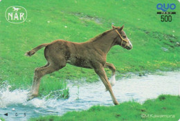 Carte Prépayée JAPON - ANIMAL - CHEVAL / Poulain - HORSE JAPAN Prepaid Quo Card - PFERD - BE 410 - Horses