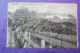 Oberbozen Rittnerbahn. Studie Mit Rosengarten Bolzano- Verlag Lorenz Fränzl Mûnchen N° 5680- Bozen Montagne - Bolzano