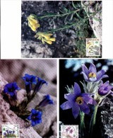 3 Cartes Maximum  1995  Fleurs Sauvages (3) Gentiane - FDC