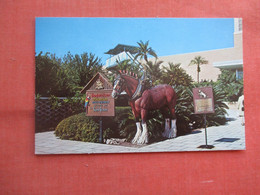 Entrance Busch Gardens.       Tampa  Florida > Tampa        Ref  5322 - Tampa