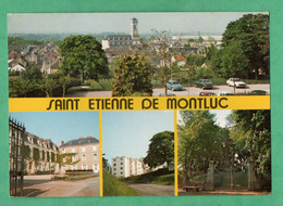 44 Loire Atlantique Saint Etienne De Montluc Carte Multivues - Saint Etienne De Montluc