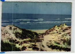 Juist - Dünen Und Strand 1960 - Juist