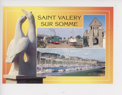 Saint Valéry Sur Somme - Multivues, Les Oiseaux (sculpture) Le Petit Train, Port, Porte De Nevers (cp Vierge) Côte Picar - Saint Valery Sur Somme