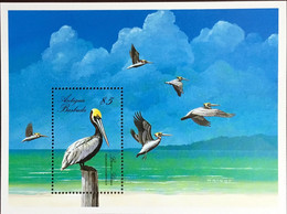Antigua 1988 Pelicans Birds Minisheet MNH - Zonder Classificatie
