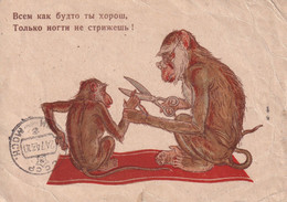 RUSSIA USSR 1943 Postcard Kolomna Chimki War Censorship  "It’s Like Everyone’s Good, But You Don’t Cut Your Nails" - Covers & Documents