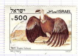 IL+ Israel 1985 Mi 985 Gänsegeier - Oblitérés (sans Tabs)