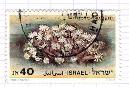 IL+ Israel 1986 Mi 1028 Korallen - Oblitérés (sans Tabs)