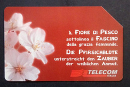 Telephonecard From Italy, Empty And Used (Read Text) - Andere & Zonder Classificatie
