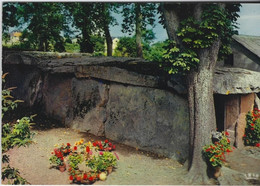 BAGNEUX   LE DOLMEN - Dolmen & Menhirs