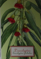 Petit Calendrier De Poche 2012 Plante Eucalyptus - Pharmacie Vizille Isère - Small : 2001-...