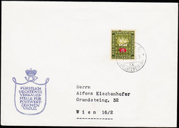 1953. 10 Rp. VADUZ 26.X.53. (Michel D. 36) - JF124854 - Service