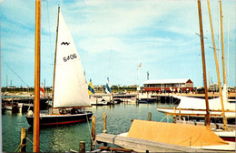 Delaware Dewey Beach Setting Out Under Full Sail - Altri & Non Classificati