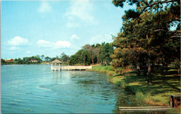 Delaware Dewey Beach Silver Lake Looking West - Altri & Non Classificati