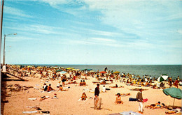 Delaware Rehoboth Beach Greetings With Beach Scene - Sonstige & Ohne Zuordnung