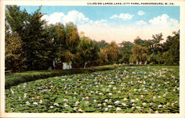 West Virginia Parkersburg City Park Lilies On Large Lake - Parkersburg