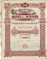 Titre Ancien - Société Des Mines Du Semnon - Titre De 1910 - - Bergbau