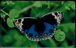 CHINA  2009 PHONECARD BUTTERFLIES USED VF!! - Papillons