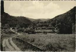 CPM LA ROQUEBRUSSANNE Vue Panoramique Sur Mazaugnes (1114505) - La Roquebrussanne