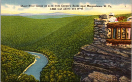 West Virginia Cheat River Gorge Seen From Cooper's Rocks Near Morgantown - Morgantown