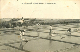 Ile De Ré * Les Marais Salants * La Récolte Du Sel * Paludiers - Ile De Ré