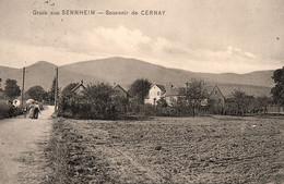 Gruss Aus Sennheim * Souvenir De Cernay - Cernay