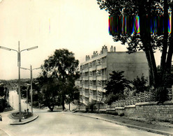 Fontenay Aux Roses * Avenue Antoine Petit - Fontenay Aux Roses