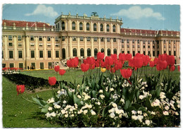 Wien - Schloss Schönbrunn - Non Classés