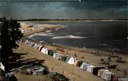 N°88892 -cpsm La Tranche Sur Mer -vue D'ensemble De La Plage- - La Tranche Sur Mer