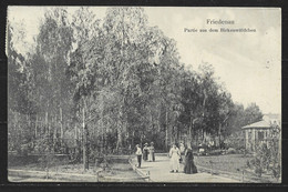 Carte P De 1909 ( Friedenau / Partie Aus Dem Birkenwäldchen ) - Schoeneberg