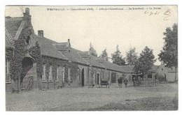 §§§  -  WESTMALLE  -  Cisterciênzen Abdij  -  De Boerderij - Malle